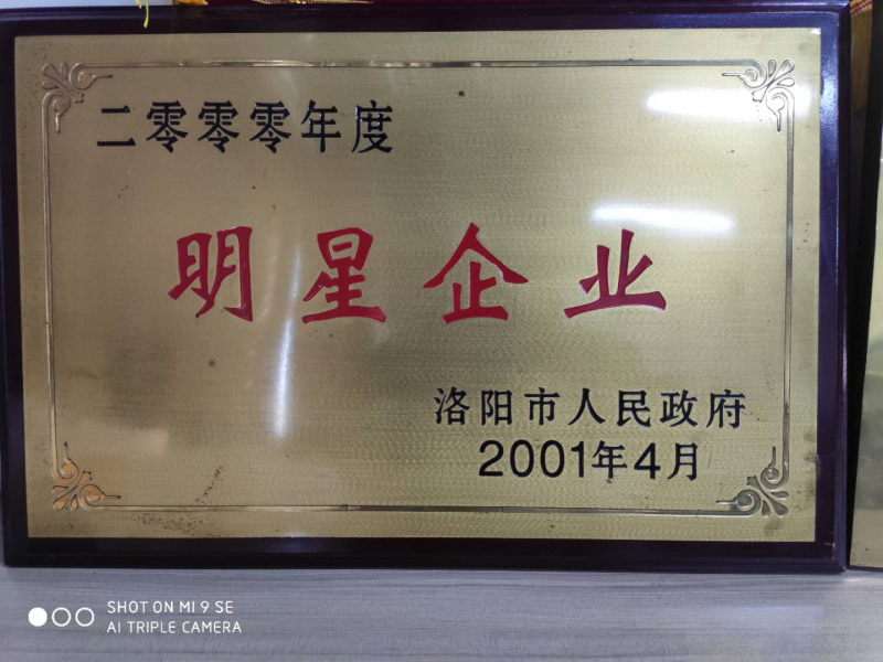 2002年度明星企业